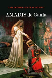 Amadís de Gaula_cover