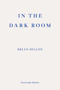 In The Dark Room_cover