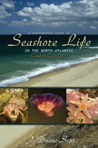 A Photographic Guide to Seashore Life in the North Atlantic_cover
