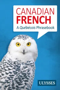 Canadian French - A Québécois Phrasebook_cover