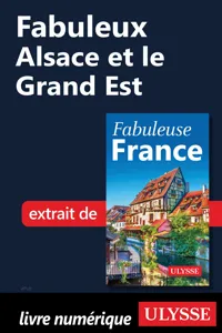 Fabuleux Alsace et le Grand Est_cover