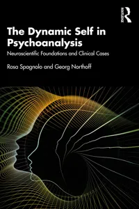 The Dynamic Self in Psychoanalysis_cover