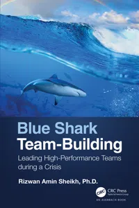 Blue Shark Team-Building_cover