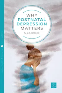 Why Postnatal Depression Matters_cover