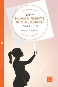 Why Human Rights in Childbirth Matter_cover