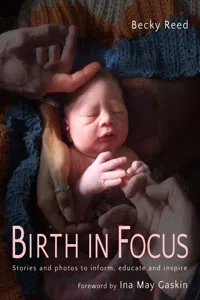 Birth in Focus_cover