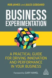 Business Experimentation_cover