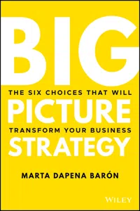 Big Picture Strategy_cover