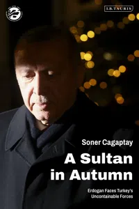 A Sultan in Autumn_cover
