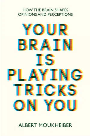 Your Brain Is Playing Tricks On You