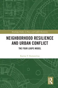 Neighborhood Resilience and Urban Conflict_cover