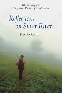 Reflections on Silver River_cover