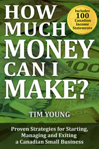 How Much Money Can I Make?_cover