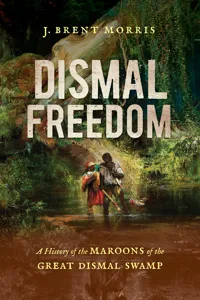 Dismal Freedom_cover