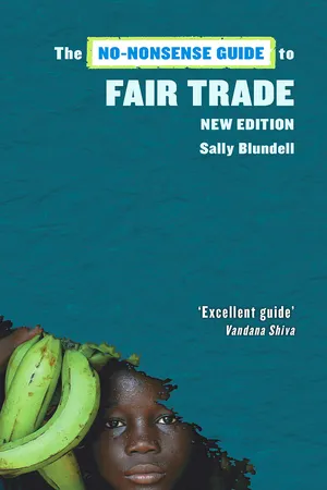 No-Nonsense Guide to Fair Trade