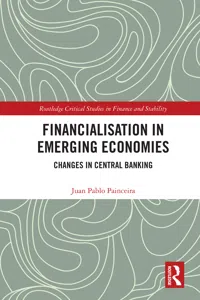 Financialisation in Emerging Economies_cover