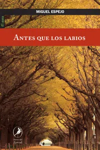 Antes que los labios_cover