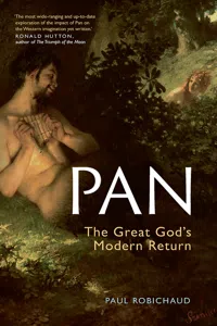 Pan_cover