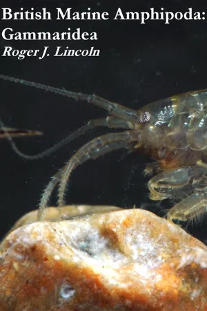 British Marine Amphipoda: Gammaridea