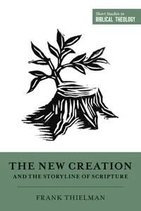 The New Creation and the Storyline of Scripture_cover