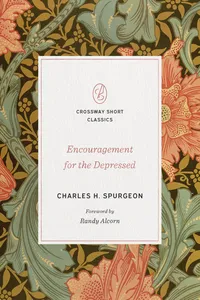 Encouragement for the Depressed_cover