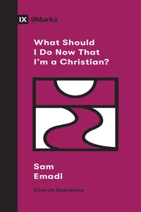 What Should I Do Now That I'm a Christian?_cover