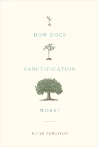 How Does Sanctification Work?_cover