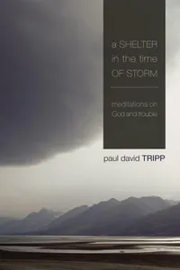 A Shelter in the Time of Storm_cover