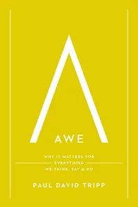 Awe_cover