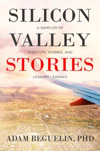 Silicon Valley Stories_cover