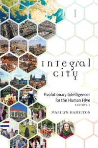 Integral City_cover