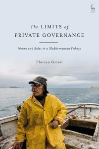 The Limits of Private Governance_cover