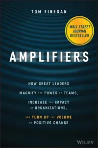 Amplifiers_cover