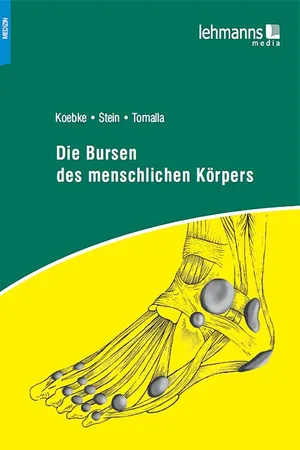 Die Bursen des menschlichen Körpers
