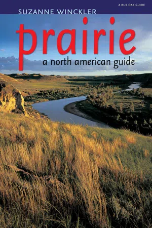 Prairie