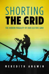 Shorting the Grid_cover