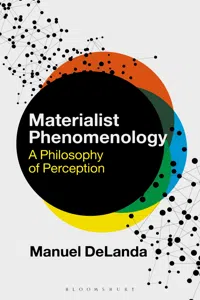 Materialist Phenomenology_cover