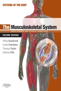 The Musculoskeletal System_cover