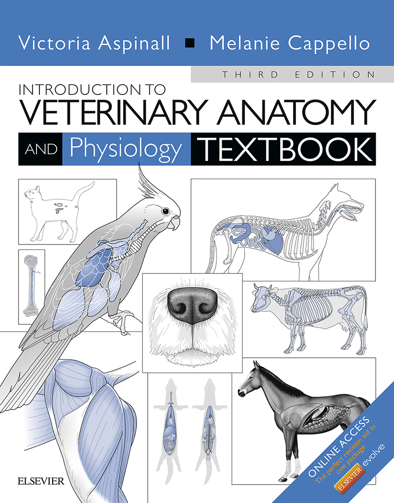 PDF] Introduction to Veterinary Anatomy and Physiology Textbook by