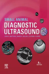 Small Animal Diagnostic Ultrasound E-Book_cover