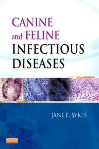 Canine and Feline Infectious Diseases_cover