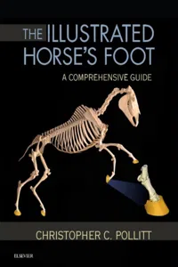 The Illustrated Horse's Foot_cover