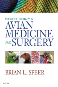 Current Therapy in Avian Medicine and Surgery - E-Book_cover