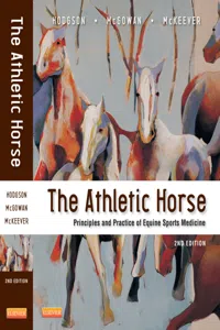 The Athletic Horse_cover