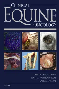 Clinical Equine Oncology_cover
