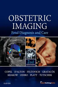 Obstetric Imaging: Fetal Diagnosis and Care E-Book_cover