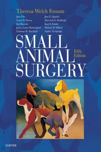 Small Animal Surgery E-Book_cover