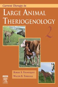 Current Therapy in Large Animal Theriogenology_cover