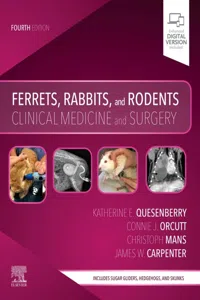 Ferrets, Rabbits and Rodents - E-Book_cover