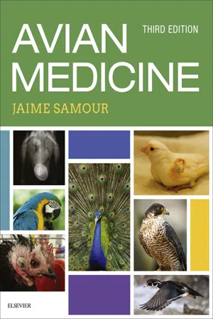 Avian Medicine